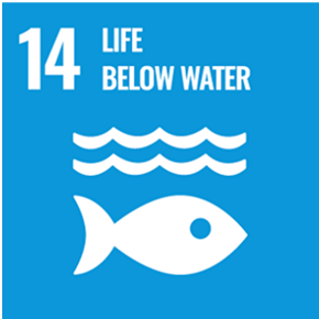 Sustainable Development Goal 14