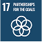 Sustainable Development Goal 17
